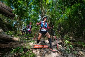 BIB: 
                            <button type="button" onclick="openModal(19388308)" class="btn btn-primary btn-sm float-right btn-popup" data-toggle="modal" data-target=".modal-high-quality">
                        <i class="fas fa-shopping-cart"></i> Add to Cart
                    </button>
                                            <button type="button" onclick="isThisMe(19388308, true)" class="btn btn-success btn-sm float-right btn-popup btn-isme hidden" data-toggle="tooltip" data-placement="bottom" title="นี่คือรูปของคุณใช่ไหม คลิกที่นี่เพื่อเอาเข้าอัลบั้ม">
                        <i class="fas fa-plus"></i> Add to album
                    </button>
                    <button type="button" onclick="isThisMe(19388308, false)" class="btn btn-warning btn-sm float-right btn-popup btn-isnotme hidden">
                        <i class="fas fa-ban"></i> Remove from album
                    </button>